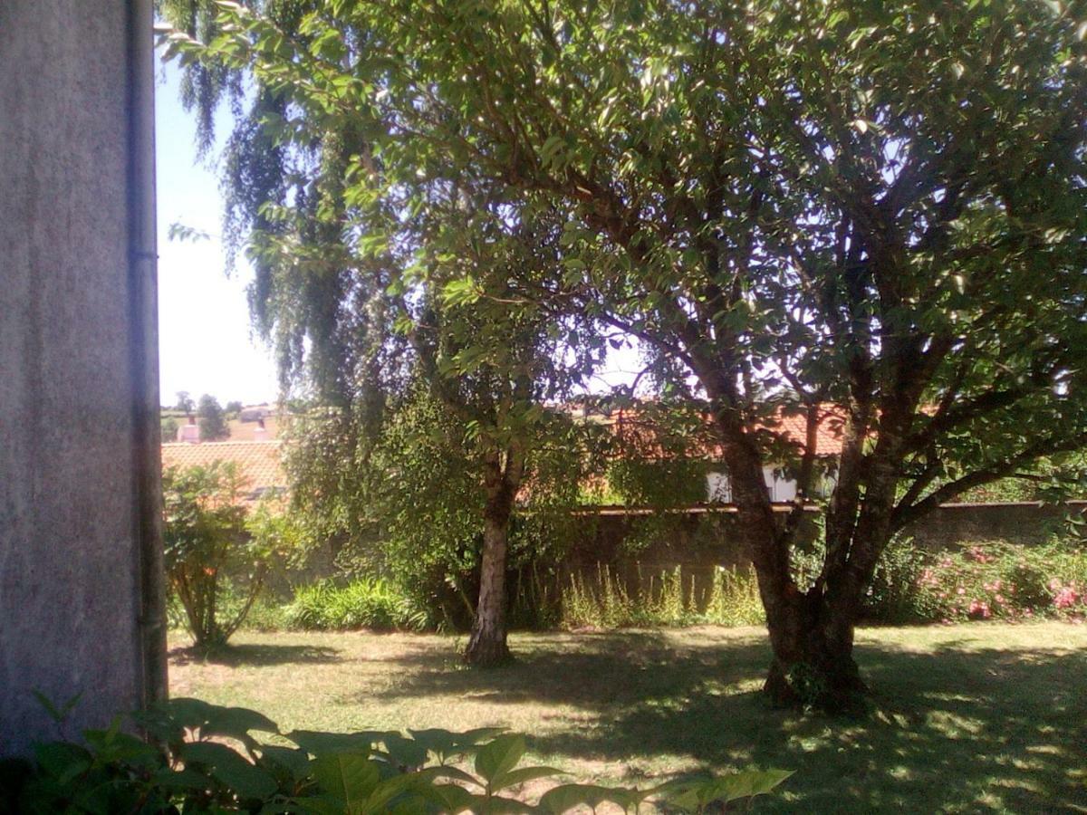 Le Gite De Reaumur Réaumur Exterior foto